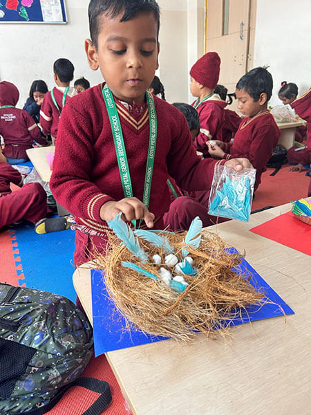 Bird Nest Making Competition