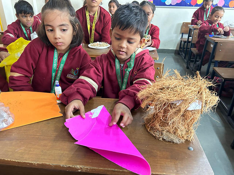 Bird Nest Making Competition